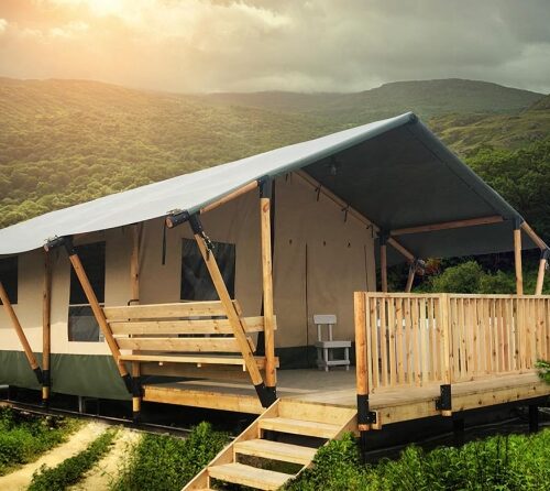 Jungle Safari Tents family (Group Order)