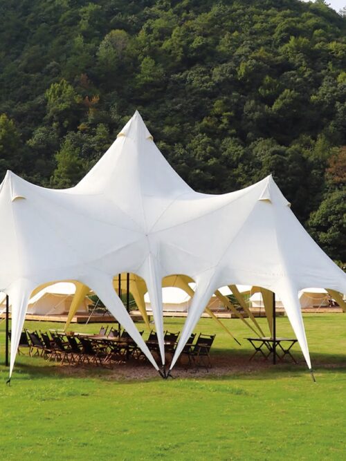 Lotus Canopy